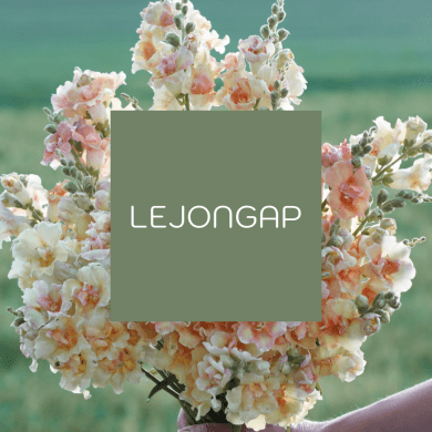 Lejongap