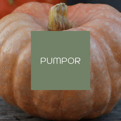 Pumpor