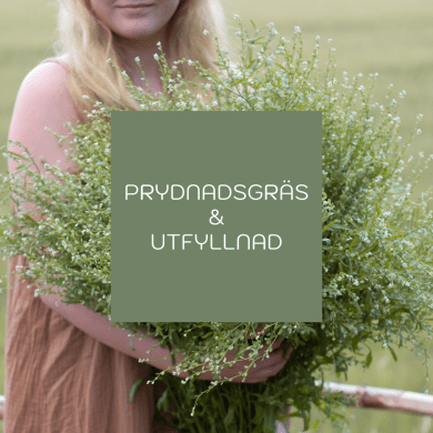 Prydnadsgräs & Utfyllnad