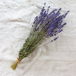 Torkad Lavendel