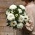 Aster Callistephus chinensis Chrisantella Phantom Of The Opera