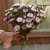 Aster Callistephus chinensis Confetti