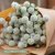 Globe Amaranth Gomphrena globosa Qis white