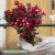 Jätteeternell Helichrysum Bracteatum Rose
