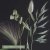 Prydnadsgräs mix ornamental grass