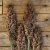 Durra Sorghum nigricans Milaan Red