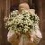 Mattram Tanacetum parthenium Baya