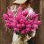 Prince of Wales Feathers Celosia plumosa Bright Pink
