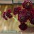 Praktvädd Scabiosa Atropurpurea Black Knight