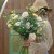 Prärieklocka Lisianthus (Eustoma) grandiflorum Alissa 2 Champagne