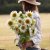 Sunflower Helianthus annuus Pro Cut White Lite BIGPACK