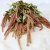 Dried Amarant Coral Fountain