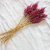 Dried Celosia Bright Pink