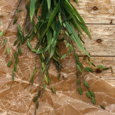 Zoom bild av Droppax Chasmanthium latifolium