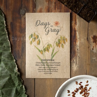 Zoom bild av Droppax Chasmanthium latifolium