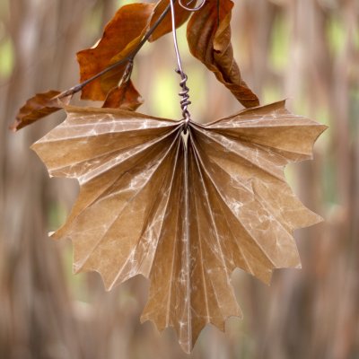 Zoom bild av Vaxat kraftpapper Blompapper Natur