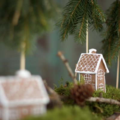 pepparkakshus stick poly alot