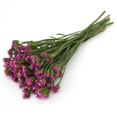 Zoom bild av Risp - Limonium Sinuatum Qis Rose