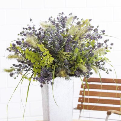 Zoom image of Rysk Martorn Eryngium planum Blue Glitter