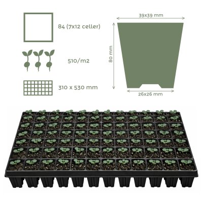 Zoom bild av Pluggrätte 84 celler Quickpot
