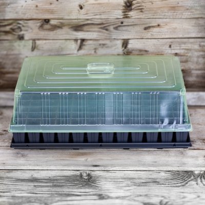 Zoom bild av Pluggrätte 84 celler Quickpot