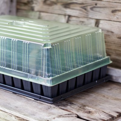 Zoom bild av Pluggrätte 84 celler Quickpot