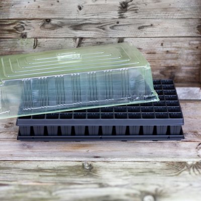 Zoom bild av Pluggrätte 84 celler Quickpot