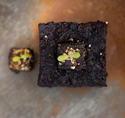 Soil block Soil Blocker Micro 20 soilblocker soilblocks