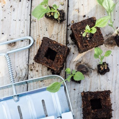 Soilblock soilblocker mini 4 soil blocker soilblocks