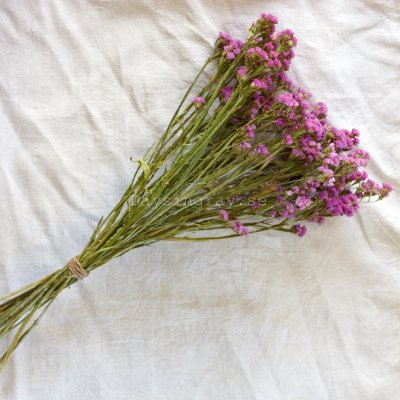 Zoom bild av Torkad Risp Rosa